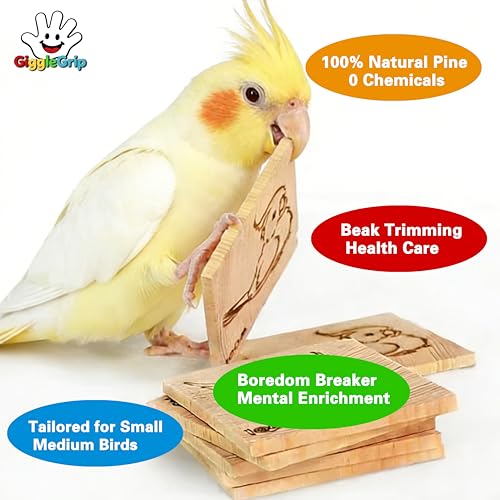 10 Pack Bird Chew Toys, 100% Natural Pine Wood Blocks for Parrot Chewing & Beak Trimming, Durable Bird Cage Accessories for Medium Small Birds, Conures, Cockatiels - style: 10 Small Slices