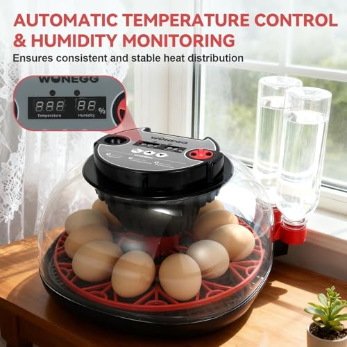 Gen II - 12 Egg Automatic Incubator, Two-Stage Humidity with Auto-Refill & Stable Temp Control, Auto Egg Turning, Candler, Real-Time Display for Hatching Chicken, Goose, Duck, Quail, Pigeon - size: 12 egg-black