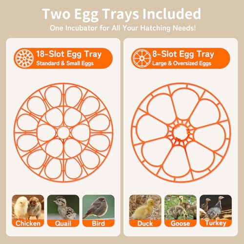 APDOE Egg Incubators for Hatching Eggs, Temperature and Humidity Control, Automatic Egg Turning, Egg Candler, External Water Bottle, Air Vent, for Chicken, Duck & Quail Eggs, 18 Eggs - color: Orange, size: 18 Eggs + 8 Large Eggs