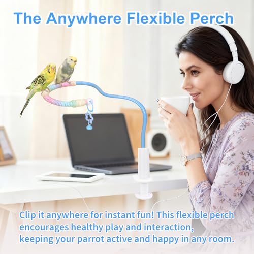 Flexible Bird Perch Stand with Bell - Parrot Toy & Desktop Training Playstand for Budgies, Cockatiels, Lovebirds, Conures, Parakeets - Colorful Playground Accessories (Blue, Medium)
