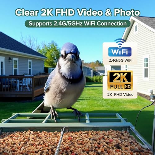 2026 Upgraded Window Bird Feeder with Camera for Bird Watching | 2K Live Video,AI Bird Identification,Instant Arrival Alerts,Support 2.4G/5G WIFI,Featuring 5 Strong Suction Cups.