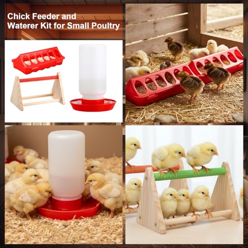 400w Large Hanging Chicken Coop Heater Lamp Carbon Fiber Chicks Brooder Heater 5pcs Chick Feeder and Waterer Kit with Wooden Perch for Poultry Chicks Ducks Quail Pigeons Birds