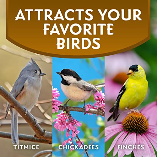 Morning Song Sunflower Hearts & Chips Wild Bird Food, No Mess Sunflower Seeds for Birds, 5.5-Pound Bag | No Mess Sunflower Seeds for Birds - size: 5.5 Pound (Pack of 1), style: 5.5 Pounds (Hearts & Chips)
