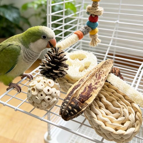 Natural Bird Toys Rattan Bird Foraging Box Parrot Shredding Toys Conure Chewing Toys for Cockatiel Lovebird Parakeet Budgie and Small to Medium Birds (Medium) - size: Medium