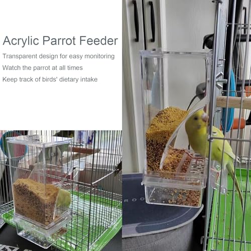 No Mess Bird Feeder Water Dispenser Set Automatic Transparent Parrot Feeder | Acrylic Parrot Food Container Drinker Cage Accessories for Small Birds Parakeet Canary Finch Cockatiel Lovebirds - color: Green