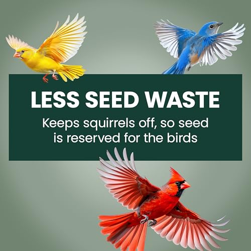 Perky-Pet Squirrel-Be-Gone Bird Feeder, 2 lb Seed Capacity | Weight-Activated Squirrel Proof Bird Feeder, Wild Bird Feeder for Outdoors with U-Shaped Perches and Clear Seed Reservoir