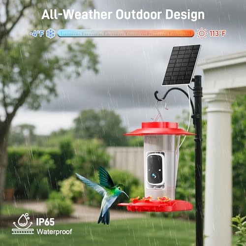 Hummingbird Feeder with Camera Outdoor, Solar Powered Hanging Bird Feeder | Ant Moat & Bee-Proof, AI Bird ID, HD 2K, Instant App Alerts, Auto Capture, Garden Gift for Hummingbird Lover & Mom Dad, 21oz - color: Red
