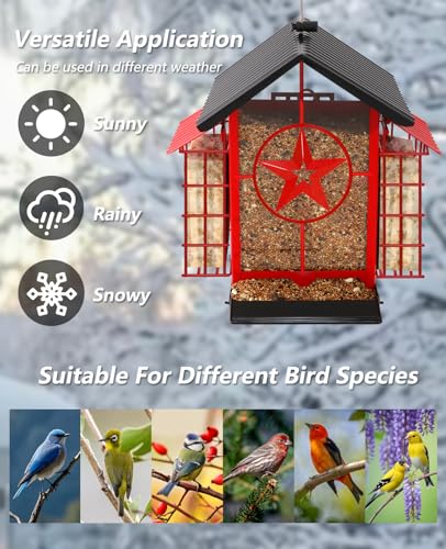Weatherproof Hanging Bird Feeders for Outdoors - 4Lbs Large Metal Suet Feeder for Wild Cardinal Finch, Red Bird Watching Lovers Gifts