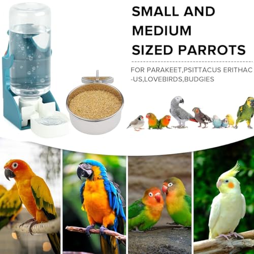 2 Pcs Bird Water Feeder, Automatic Bird Water Dispenser & Stainless Steel Bird Food Bowl, Cage Accessories for Parrot & Hamster Parakeet Cockatiel Budgie Lovebirds (Feeders & Water)