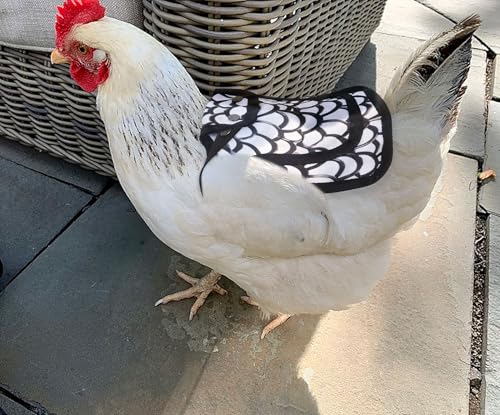 On-Airstore 3Pcs Chicken Saddle for Hens Chicken Aprons Clothes with Adjustable Strap Outdoor Printed Birds Hen Saddle for Poultry Back Feather Protector Suitable for Small Medium Large Hens