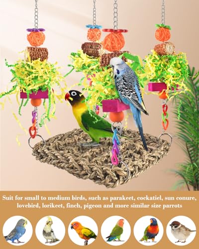 ERKOON Conure Toys, Bird Cockatiel Toys Foraging Swing Mat Parrot Climbing Hammock Wall with Colorful Toys for Birds Shredding Seagrass, Birds Cage Toy Accessories - size: Parrot swing mat-1 Pack