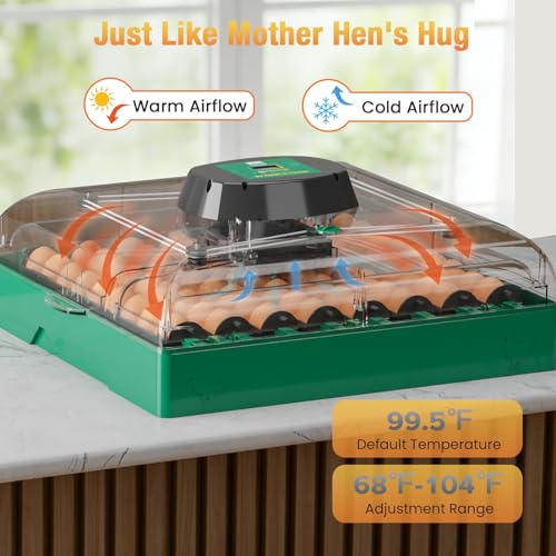 Egg Incubator for Chicken Eggs, Max 72 Egg Incubator with Auto Turner | Large capacity egg hatcher with humidity control, 360° clear view for chicken, duck, quail eggs, farms & classrooms