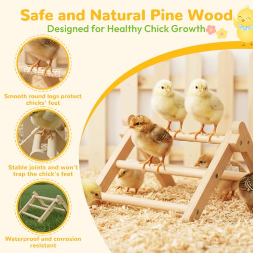 Chick Perch Foldable, Perch for Chicks Stable & No Assemble | Chick Roosting Perch for Stand Training, 11.02" × 9.84" × 6.10" Baby Chick Toys for Chicken Brooder | Coop (M) - size: 11.02" × 9.84" × 6.10"