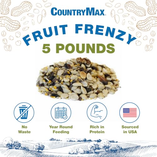 Backyard Seeds Fruit Frenzy No-Waste Bird Seed Mix 5lbs - Premium Blend with Pumpkin Seeds, Cranberries & Pistachios, Small Bag of Wild Bird Food - size: 5 Pound (Pack of 1), style: No Waste Fruit Frenzy