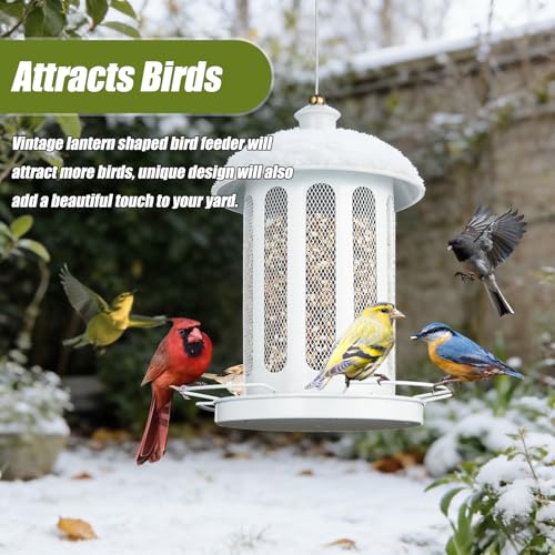Bird Feeder, 4LB Large Capacity Bird Feeders for Outdoor Hanging | Heavy Duty Metal, 4 Perches, With Drain Holes, Wild Birdfeeder, For Outside Garden Yard Decor, Retro Lantern Shape - color: White