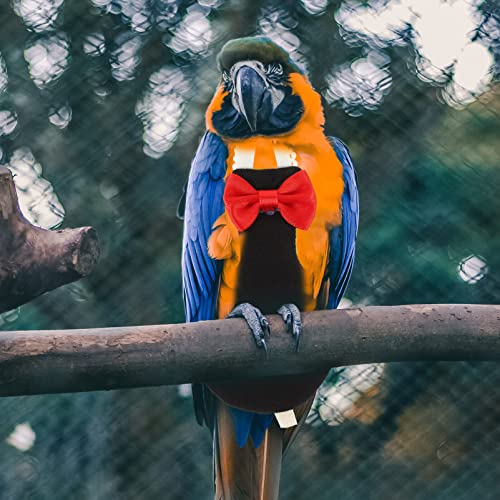 POPETPOP Flying Bird Diapers - Washable Parrot & Cockatoo Diaper Clothes