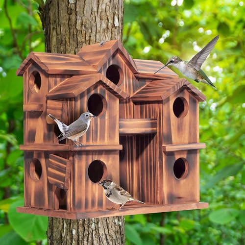 MIXUMON Wooden Bird Houses for Outside – 10 Rooms Multi-Chamber Bird House, Carbonized Pine Rustic Finish, 1.57" Entrance Holes, Individual Cleaning Doors, Decorative Outdoor Bird Nesting Box