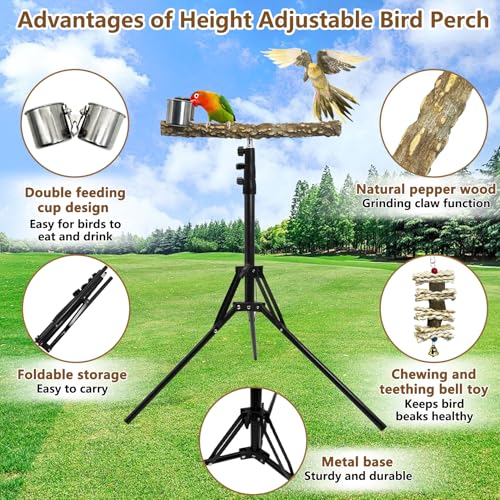 kathson 28-60inches Height Adjustable Bird Perch, Pepperwood Parrot Perch Stand with Feeding Cup, Multi-Purpose Bird Perches for Indoor and Outdoor Use, Designed for Small Medium Birds (3 PCS) - size: Bird Perch with Feeding Cup and Toy (3 Pieces)