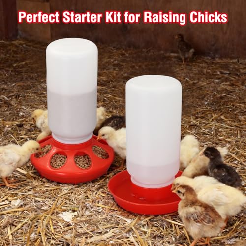 Chick Feeder and Waterer Set No Waste Automatic Chicken Feeder and 1L Waterer for Baby Chicks, Ducks, and Quail – Brooder Starter Kit - color: Red and White