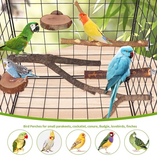 12 Pcs Natural Wood Bird Perch Stand & Platform Set for Cages | Ideal for Small/Medium Birds (Budgies, Conures) | Bark Textures for Foot Health | Tool-Free Wing-Nut | Safe Chewing - size: Deluxe Playground Set - 12PCS