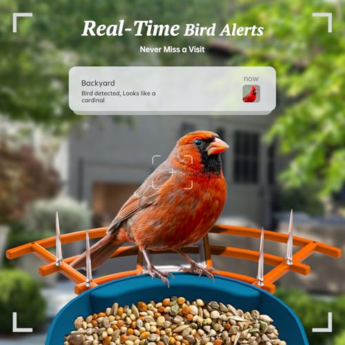 Smart Bird Feeder with Camera, 2K HD AI Identify Birds Species, Bird Watching Camera with Solar Panel, Gift for Mom Dad Birdlovers
