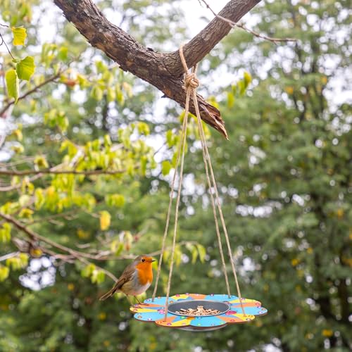 CroBlissful 12 Pack Bird Feeder Craft Kits for Kids DIY Your Own Bird Feeders with Paint and Paintbrushes Wooden Arts and Crafts for Kid Ornaments to Paint Feeders Craft for Garden (Cloud) - style: Cloud
