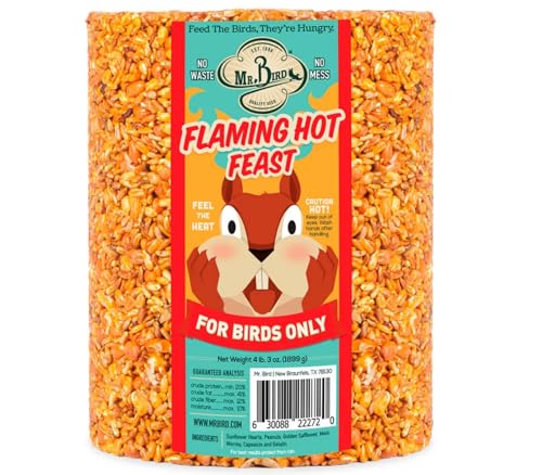 Mr. Bird Flaming Hot Feast Large Wild Bird Seed Cylinder 4 lb. 3 oz. | Premium Blend of Mealworms, Peanuts & Hot Pepper | Squirrel Repellent | Handcrafted in Texas - size: 4.19 Pound (Pack of 1)
