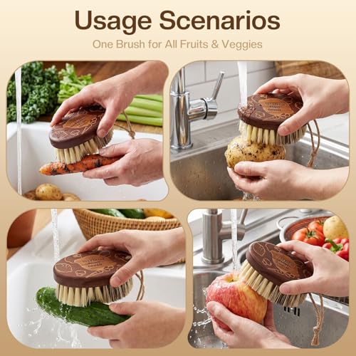 Vegetable and Fruit Cleaning Brush Scrubber Beechwood Handle Fruits Veggie Wash Brushes Potato Carrot Cucumber Mushrooms Washing Cleaner(Beige Brown, 1) - color: Beige Brown