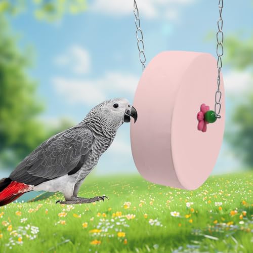 Bird Beak Grinding Stone – Large Blue Cylinder Parrot Chew Toy with Metal Hanging Chain – Cage Accessory for Macaws, African Greys, Cockatiels & Medium to Large Birds - color: pink