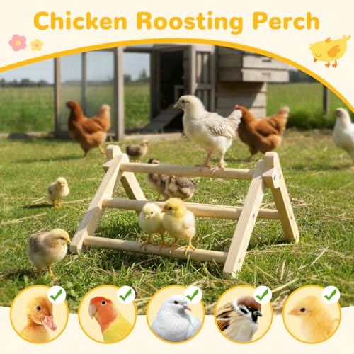 Chick Perch Foldable, Perch for Chicks Stable & No Assemble | Chick Roosting Perch for Stand Training, 11.02" × 9.84" × 6.10" Baby Chick Toys for Chicken Brooder | Coop (M) - size: 11.02" × 9.84" × 6.10"