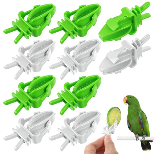 10PCS Bird Cage Food Holder, Plastic Parrot Fruit Vegetable Clips, Millet Holder for Bird Cage Parrot Food Feeder Clip for Budgie Parakeet Cockatoo Macaw Cockatiel Conure-White and Green