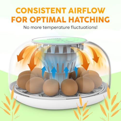 Okkobi M12 Egg Incubator with Automatic Turner and Humidity Control - 12/24 Eggs, 360° View, Easy to Use and Clean - Incubadora de Huevos de Gallina - Made for US - White & Green - color: Green