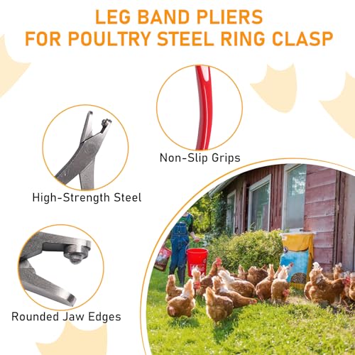 Leg Band Pliers Chicken Leg Rings Pliers Leg Band Application | Pliers For Poultry Chickens Ducks Pheasants Steel Red