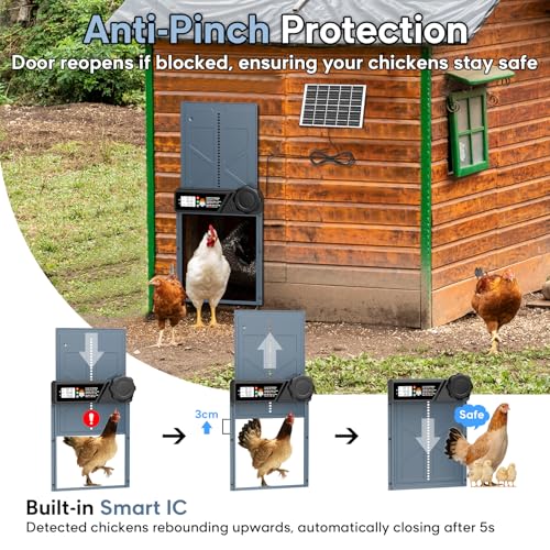 Large Size Automatic Chicken Coop Door Solar - Powered Auto Chicken Door Opener, Timer Modes for Safe and Convenient Chicken Keeping with Intelligent Obstacle Sensors, Remote Control, 14.2"H x 10.83"L