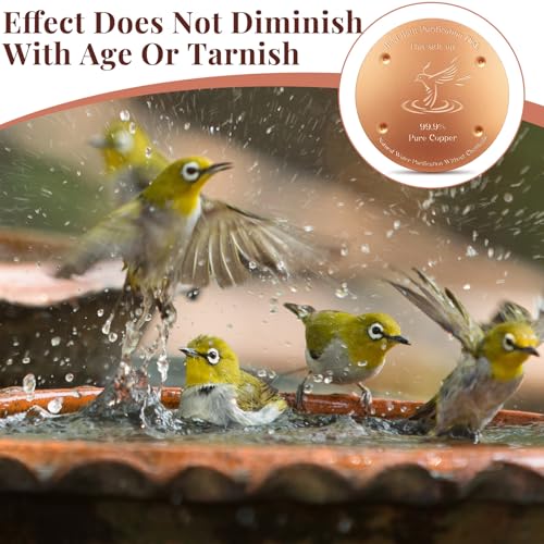 8 Pcs 4'' Copper Disc for Bird Bath,0.6mm | 0.8mm Thick, 99.99% Pure Metal for Birdbaths Purification, 4 Point Support Outdoor Bowls, Prevents Algae Buildup - style: Bird Pattern