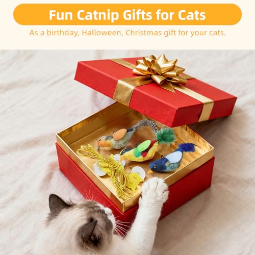 Tocirelo Interactive Hanging Cat Toy Bird with Catnip Feather, Door Cat Toy | 3Pack Realistic Interactive Motion Activated Chirping Bird for Indoor Cats, Bored Kitten Kicker Chase Exercise Door Frame Toy - style: Mult-Bird Cat Toy