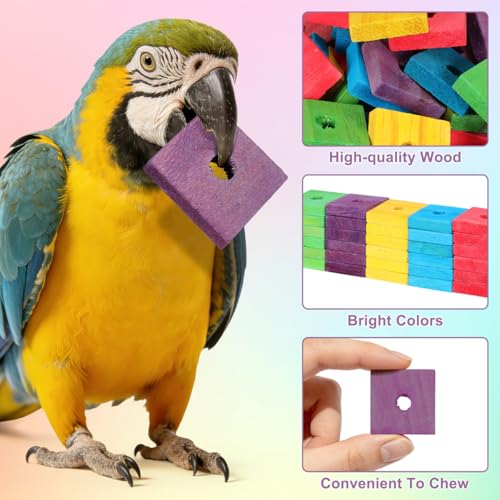 GANAZONO 100Pcs Parrot Wood Blocks Toys Wooden Blocks Bird Chewing Toy Bird Bite Toys Mini Wood Chips DIY Craft for Parrot Playing Chewing | 100Pcs Safe Bite Toy for Small Birds Teething Grinding Fun Mixed Colors for Cockatiels Parakeets and Conures