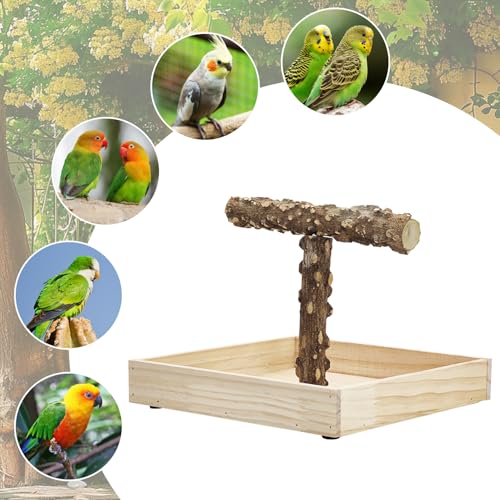 BNOSDM Portable Bird Perch Stand with Potty Tray, Natural Wood Tabletop Training Gym Parrot Playground Toy for Budgies, Cockatiels, Lovebirds,Conures - color: T-Shaped Bird Stand