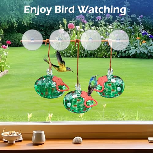 Pozfun Window Hummingbird Feeder with Suction Cups,Hand-Blown Glass Hummingbird Feeders for Outdoors Window Mounted with Metal Hook,Close Bird Watching,Finch in Garden,Yard(Green) - color: Green