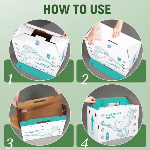 15 Pack Single Live Chicken Shipping Boxes 17.5 x 8.5 x 11.5" Live Bird Shipping Boxes Cardboard Pet Carrier with Handle for Poultry, Pigeons, & Canaries (Green) - color: Green