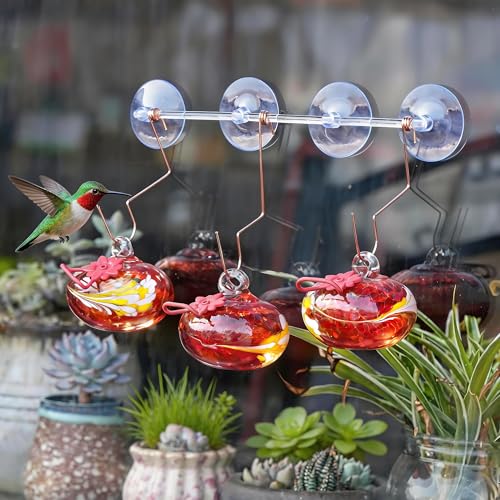 3PCS Window Hummingbird Feeder with Suction Cups(Red) - color: Red