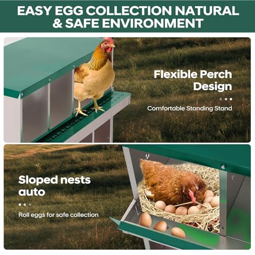 Garvee Chicken Nesting Box, 8 Compartments Nesting Box for Chickens, Galvanized Steel Chicken Laying Box for Easy Egg Collection, Wall Mounting - color: Green | 8 Compartments+legs