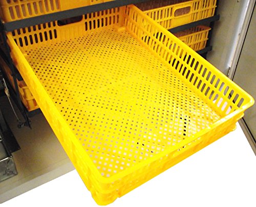 HATCHER Basket Egg Tray for Our Cabinet INCUBATORS Chicken
