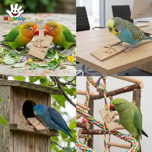 16 Pack Pine Wood Bird Chew Toys, Wood Slices for Active Chewers | Natural wood chew slices for parakeets, cockatiels, conures and lovebirds; each slice measures 3.9 x 2.1 in. - style: 16 Large Slices