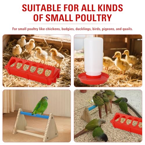 Chick Feeder and Waterer Kit with Mini Perch Chick Starter Kit for Small Poultry Ducks/Quail, Coop Brooder Feeding Supplies