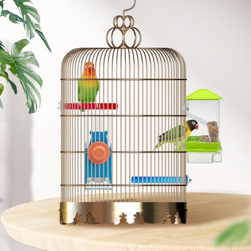 Hamiledyi No Mess Bird Feeders Water Dispenser Set Parakeet Seed Container Automatic Cage Feeder with Perch Transparent Cage Accessories for Budgies, Parakeets, Canaries, Lovebirds, Finches - color: Green + Drinking Bottle + Perch