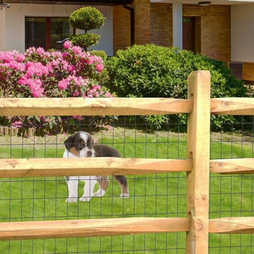 Black PVC Coated Welded Wire Fence 36" x 100' Roll, 2"x3" Mesh, 16 Gauge | Vinyl Coated Garden Fencing, Yard & Pet Barrier, Chicken Wire Fencing, Dog Enclosure Mesh, Vegetable Plant Protector - color: Black, size: 2''x3'' 16GA 36''x100'