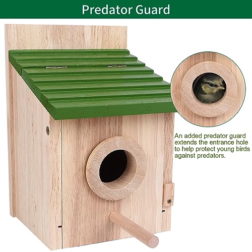 Bird House for Outside with Predator Guard Natural Wooden Bird Houses for Outdoors with Pole Finch Bluebird Cardinals Hanging Birdhouses Clearance Garden Country Cottages (Green, Normal) - color: Green, size: Normal