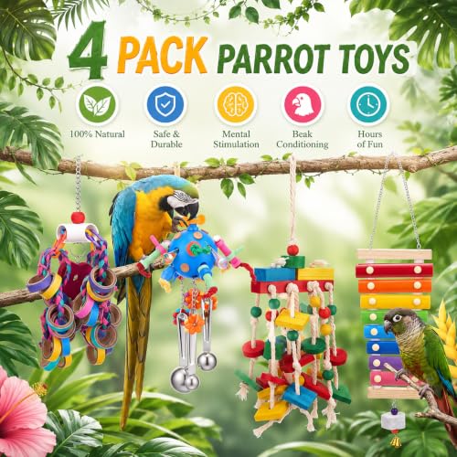 Seenelling 4 Pcs 3 Pcs Extra Large Bird Toys for Parrots,Ring and Ball - style: Ring and Ball