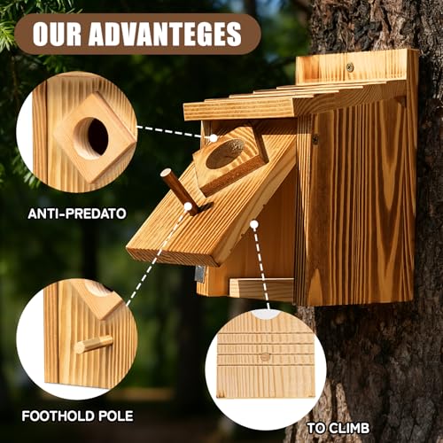 Waterproof Wooden Blue Bird House, Weather-Treated Bird Box for Outdoors | 1.5 Inch Entrance Diameter, No Assembly Required Design, Easy to Clean, for Wrens, Swallows, Finches, Chickadee - color: brown